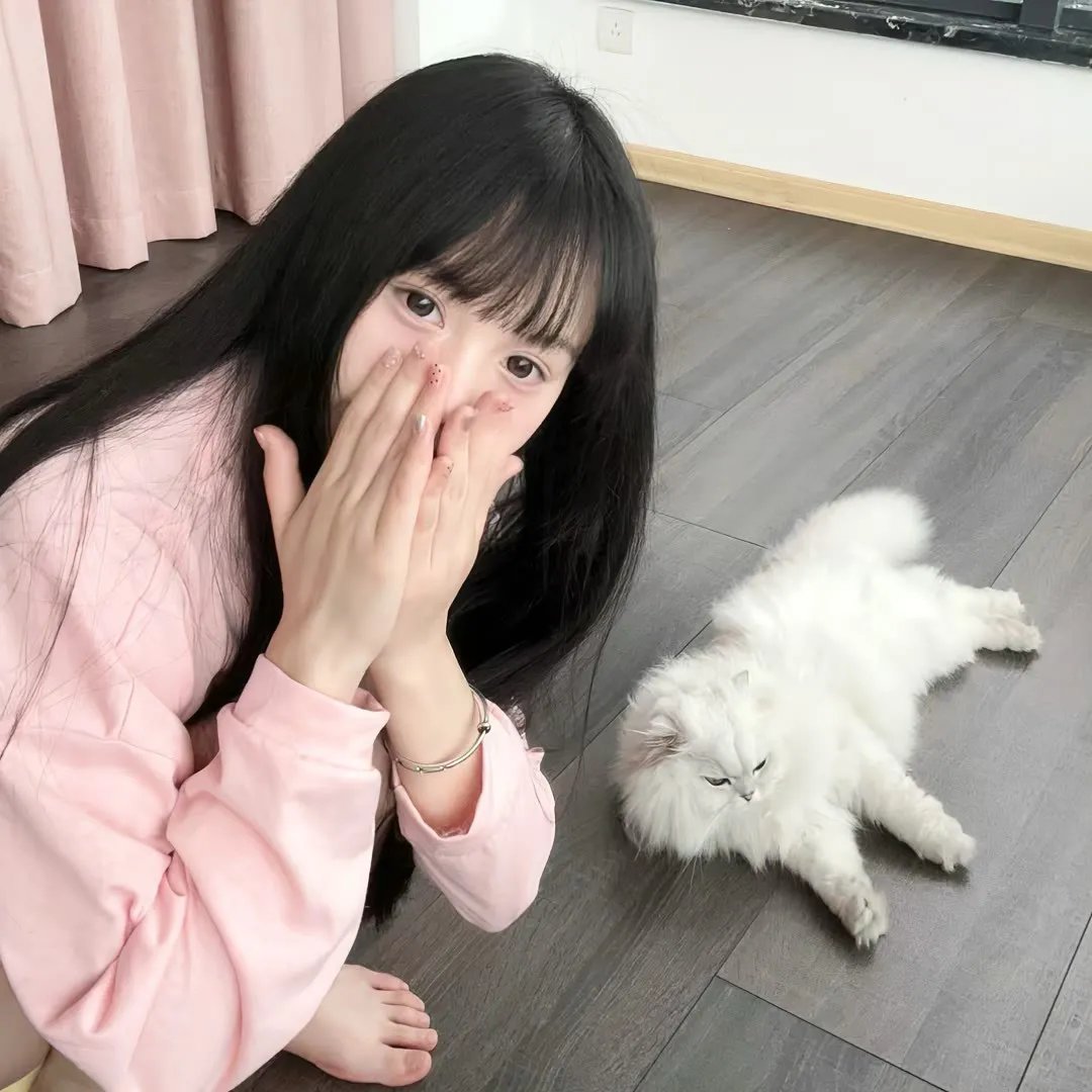 我可爱的宾杜